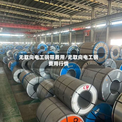 无取向电工钢带费用/无取向电工钢费用行情