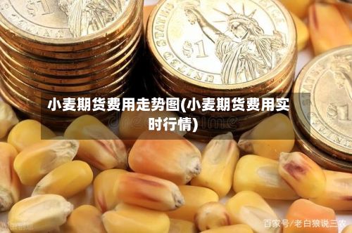 小麦期货费用走势图(小麦期货费用实时行情)