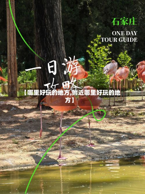 【哪里好玩的地方,附近哪里好玩的地方】-第2张图片