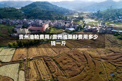 贵州油粕费用/贵州油菜籽费用多少钱一斤