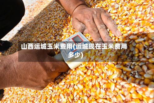 山西运城玉米费用(运城现在玉米费用多少)