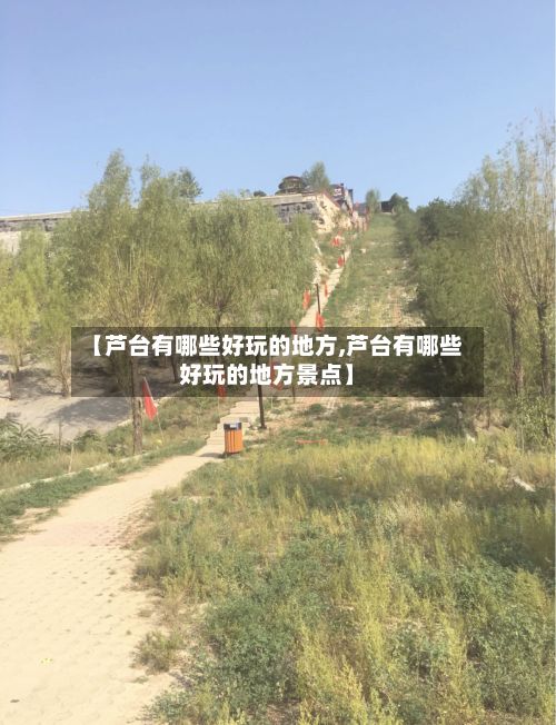 【芦台有哪些好玩的地方,芦台有哪些好玩的地方景点】-第3张图片