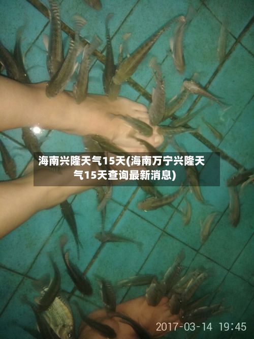 海南兴隆天气15天(海南万宁兴隆天气15天查询最新消息)-第2张图片