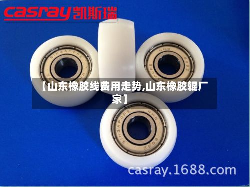【山东橡胶线费用走势,山东橡胶辊厂家】-第2张图片
