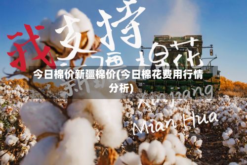 今日棉价新疆棉价(今日棉花费用行情分析)