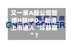 又一家A股公司暂缓H股IPO，赴港上市进入“冷静期”？-第3张图片