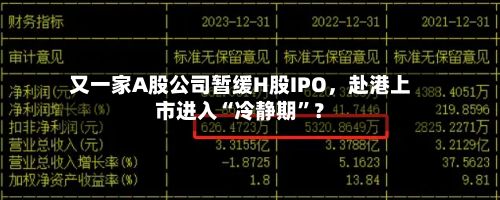 又一家A股公司暂缓H股IPO	，赴港上市进入“冷静期”？-第2张图片