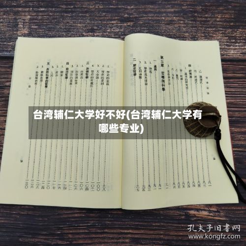 台湾辅仁大学好不好(台湾辅仁大学有哪些专业)-第2张图片