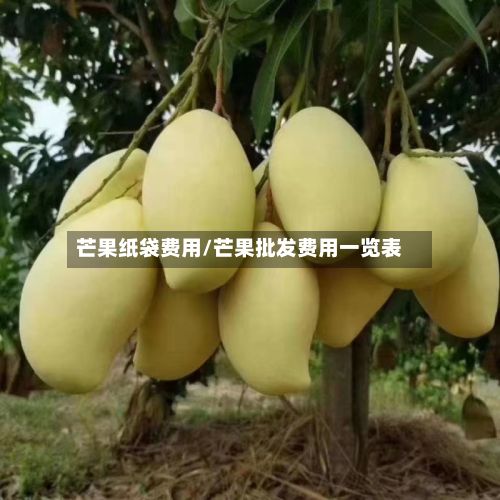 芒果纸袋费用/芒果批发费用一览表-第3张图片