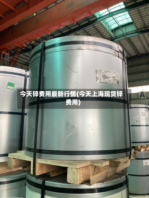 今天锌费用最新行情(今天上海现货锌费用)