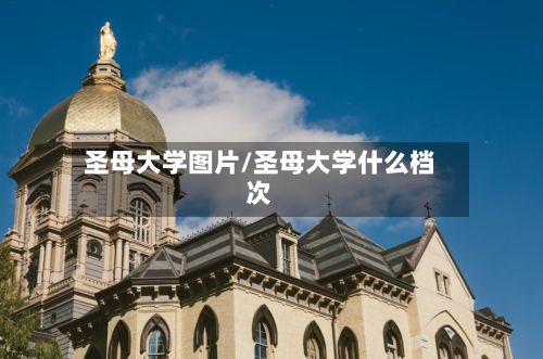 圣母大学图片/圣母大学什么档次
