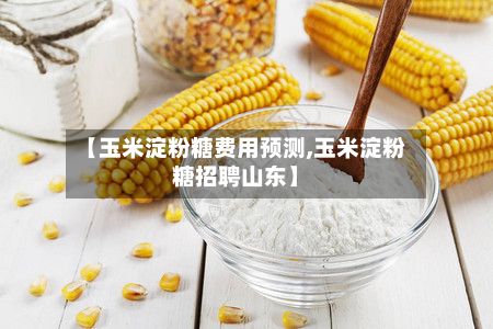 【玉米淀粉糖费用预测,玉米淀粉糖招聘山东】-第2张图片