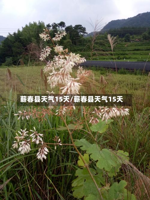 蕲春县天气15天/蕲春县天气15天-第2张图片