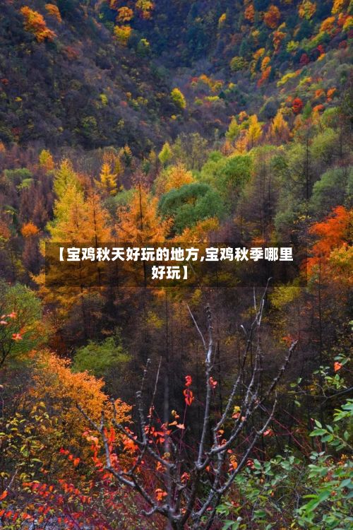 【宝鸡秋天好玩的地方,宝鸡秋季哪里好玩】