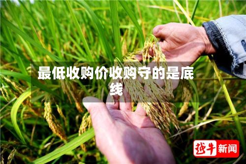 最低收购价收购守的是底线