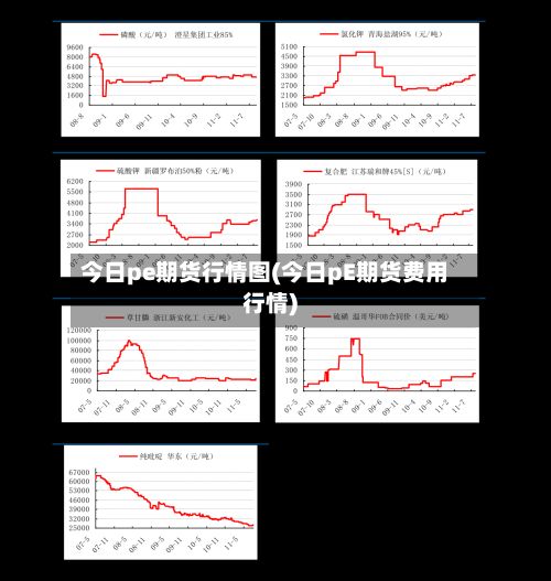 今日pe期货行情图(今日pE期货费用行情)