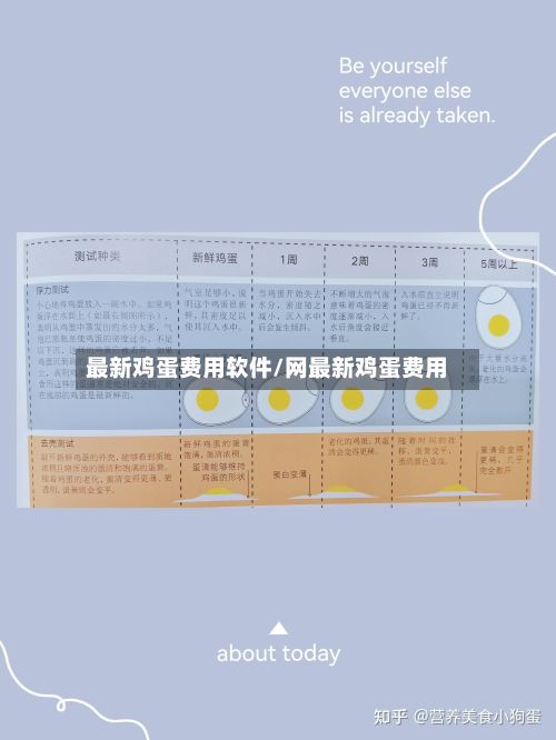 最新鸡蛋费用软件/网最新鸡蛋费用