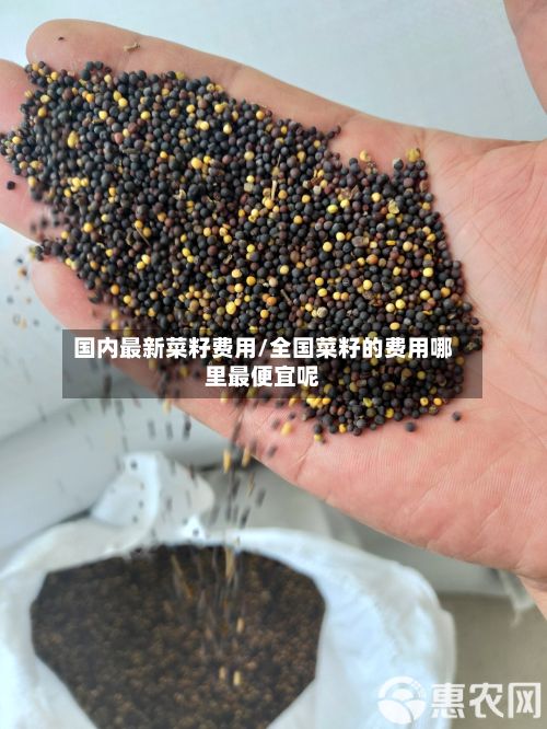 国内最新菜籽费用/全国菜籽的费用哪里最便宜呢-第2张图片