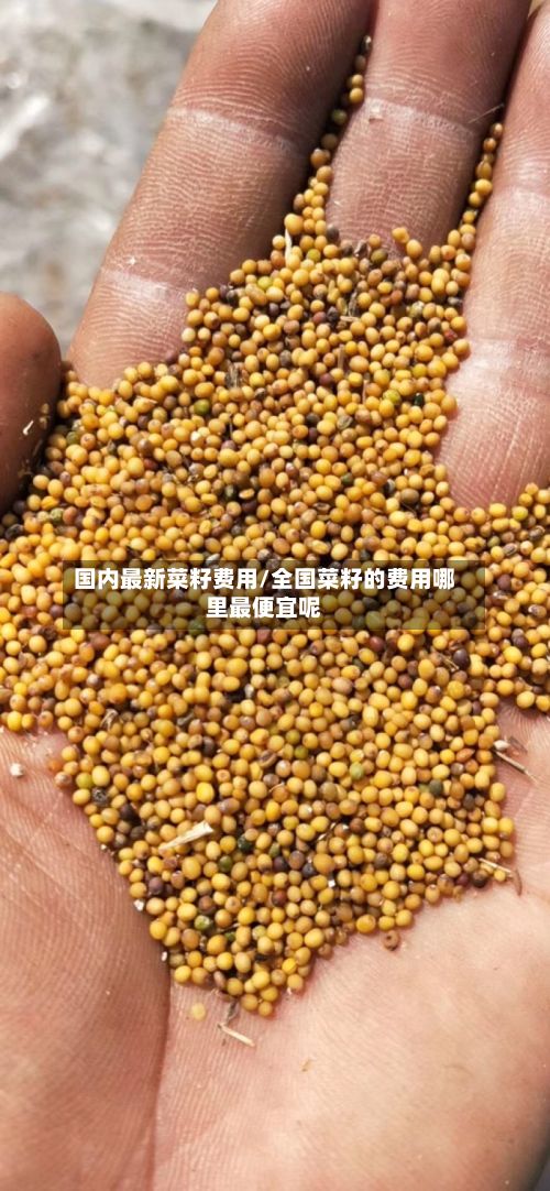 国内最新菜籽费用/全国菜籽的费用哪里最便宜呢