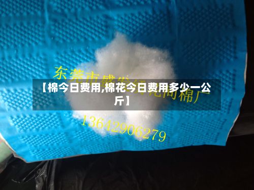 【棉今日费用,棉花今日费用多少一公斤】