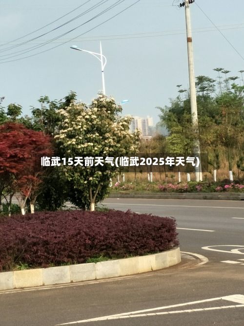 临武15天前天气(临武2025年天气)