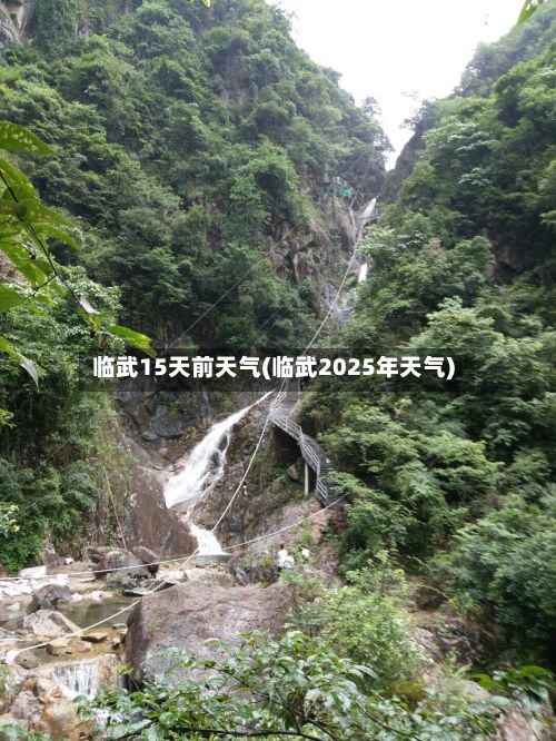 临武15天前天气(临武2025年天气)-第3张图片