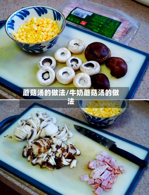 蘑菇汤的做法/牛奶蘑菇汤的做法