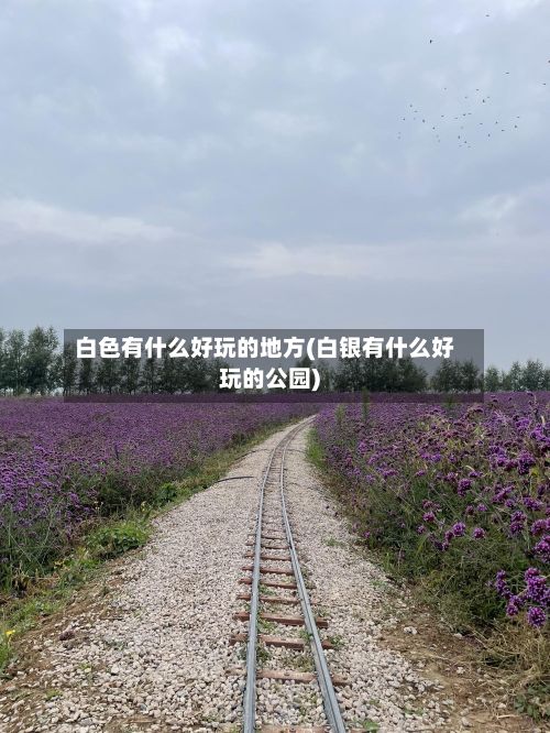 白色有什么好玩的地方(白银有什么好玩的公园)-第2张图片