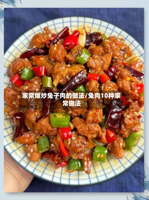 家常爆炒兔子肉的做法/兔肉10种家常做法