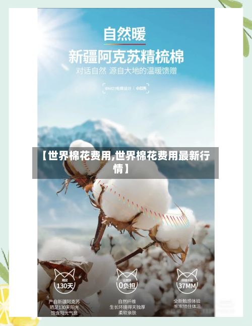 【世界棉花费用,世界棉花费用最新行情】-第3张图片