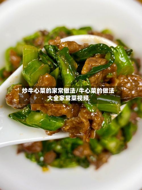 炒牛心菜的家常做法/牛心菜的做法大全家常菜视频