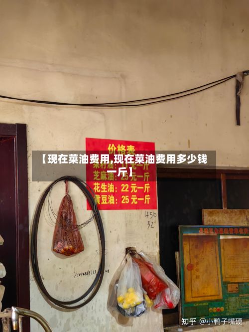 【现在菜油费用,现在菜油费用多少钱一斤】