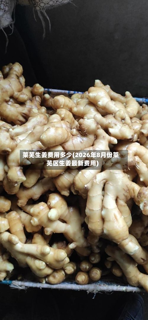 莱芜生姜费用多少(2026年8月份莱芜区生姜最新费用)