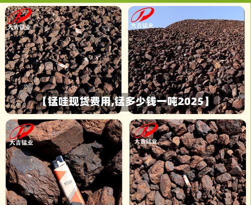 【锰哇现货费用,锰多少钱一吨2025】-第3张图片