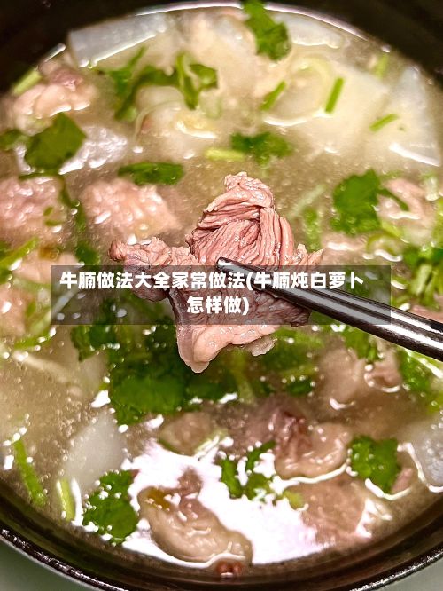牛腩做法大全家常做法(牛腩炖白萝卜怎样做)-第3张图片