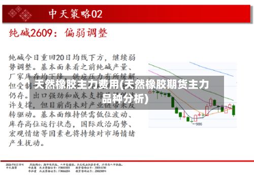 天然橡胶主力费用(天然橡胶期货主力品种分析)
