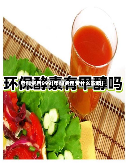 甲醇费用999(甲醇费用受什么影响)-第2张图片