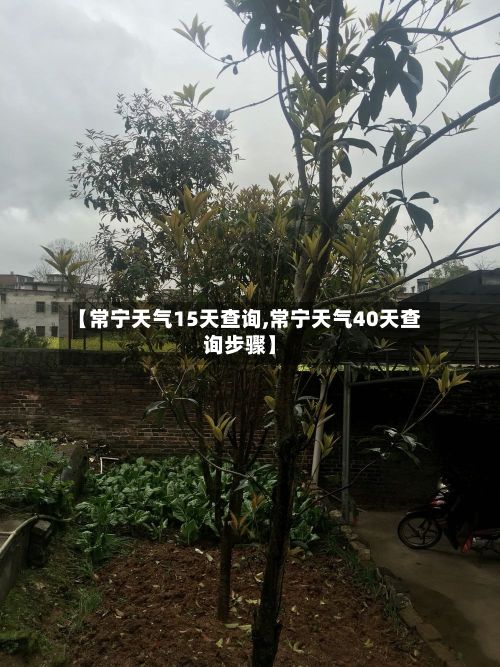 【常宁天气15天查询,常宁天气40天查询步骤】