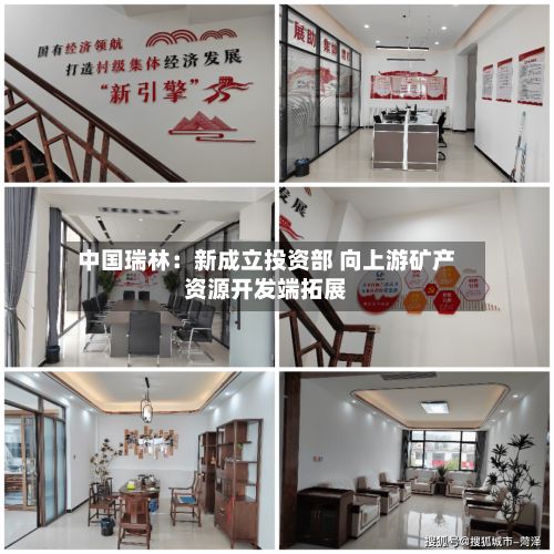 中国瑞林：新成立投资部 向上游矿产资源开发端拓展