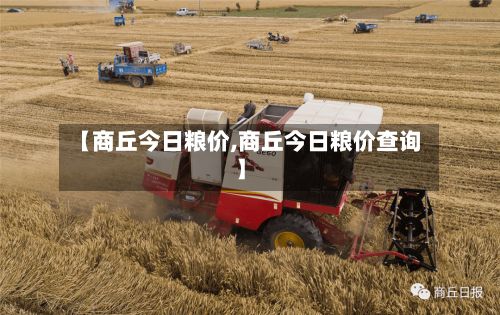 【商丘今日粮价,商丘今日粮价查询】