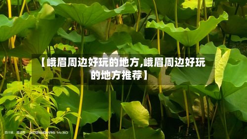 【峨眉周边好玩的地方,峨眉周边好玩的地方推荐】