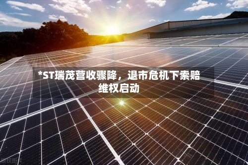 *ST瑞茂营收骤降，退市危机下索赔维权启动-第2张图片