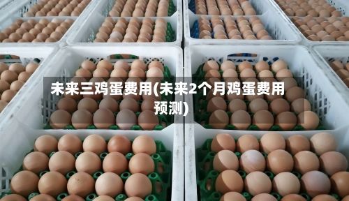 未来三鸡蛋费用(未来2个月鸡蛋费用预测)-第3张图片