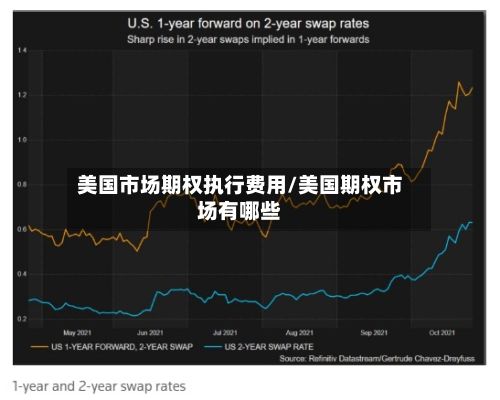 美国市场期权执行费用/美国期权市场有哪些-第2张图片
