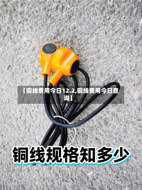 【铜线费用今日12.2,铜线费用今日查询】-第2张图片