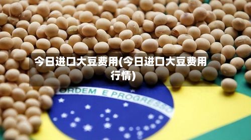今日进口大豆费用(今日进口大豆费用行情)