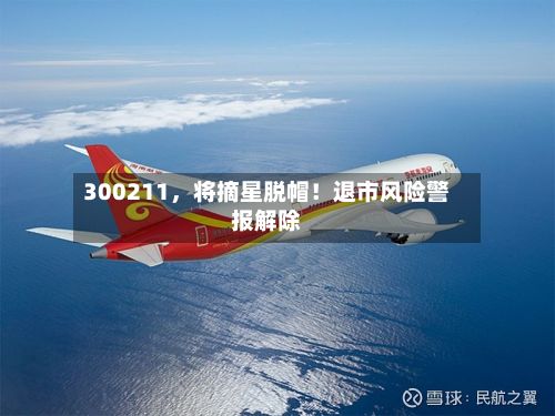 300211，将摘星脱帽！退市风险警报解除-第2张图片