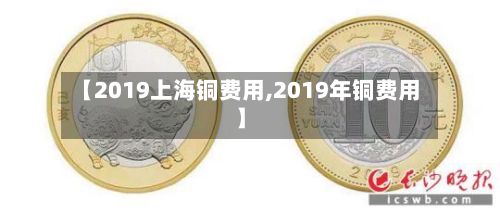 【2019上海铜费用,2019年铜费用】