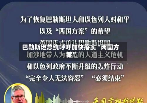 巴勒斯坦总统呼吁加快落实“两国方案”
