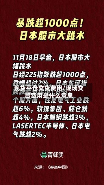 现货平仓交货费用/现场交货费用是什么意思